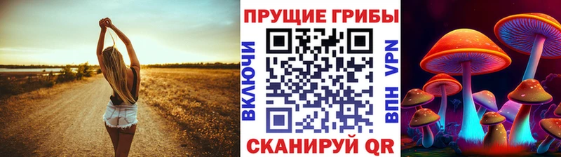 гидра как войти  Нягань  Псилоцибиновые грибы MAGIC MUSHROOMS  закладка 